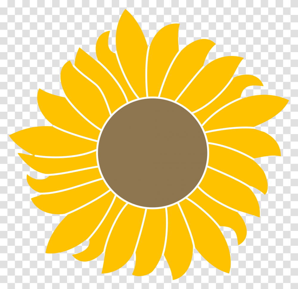 Common Sunflower Scalable Vector Graphics Portable Logo Mediawiki, Plant, Blossom, Daisy, Daisies Transparent Png