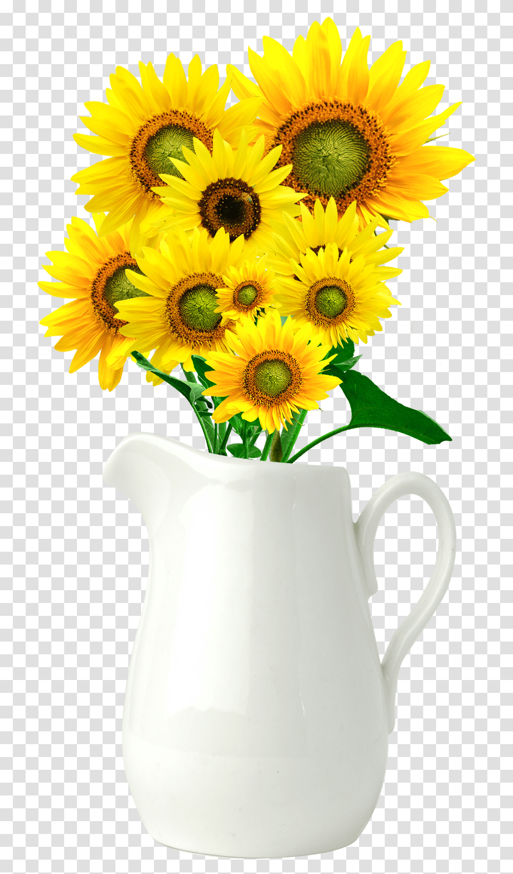Common Sunflower Vase Sunflower Vase Background, Plant, Blossom, Flower Arrangement, Flower Bouquet Transparent Png
