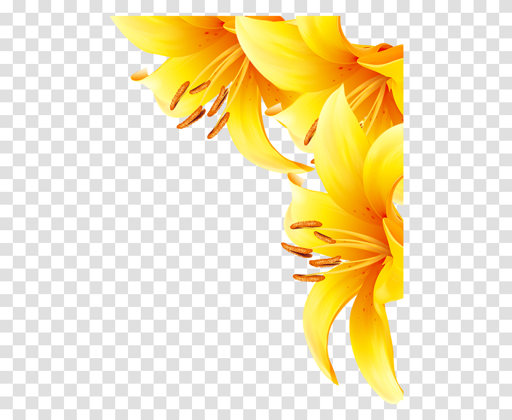 Common Sunflower Yellow Sunflower, Plant, Banana, Fruit, Food Transparent Png