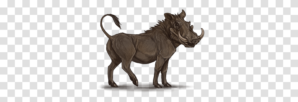 Common Warthog Lion Pig Hyena Mane Warthog, Mammal, Animal, Horse, Wildlife Transparent Png