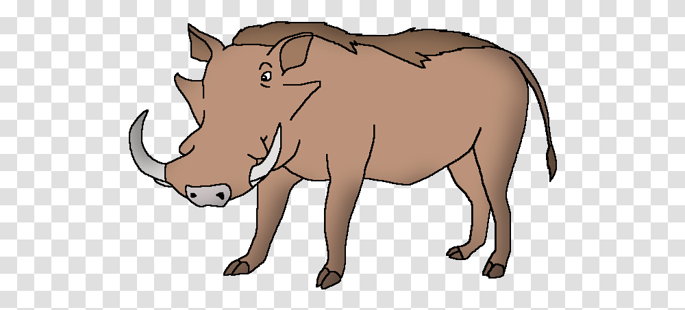 Common Warthog Wildlife Animal Pedia, Mammal, Pig, Person, Human Transparent Png
