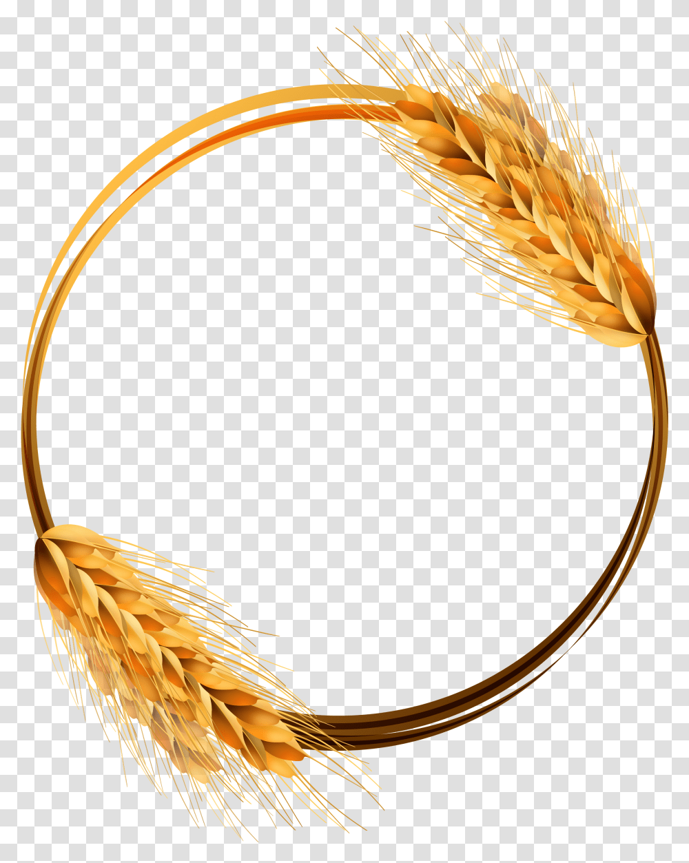 Common Wheat Ear Crop, Plant, Vegetable, Food, Produce Transparent Png