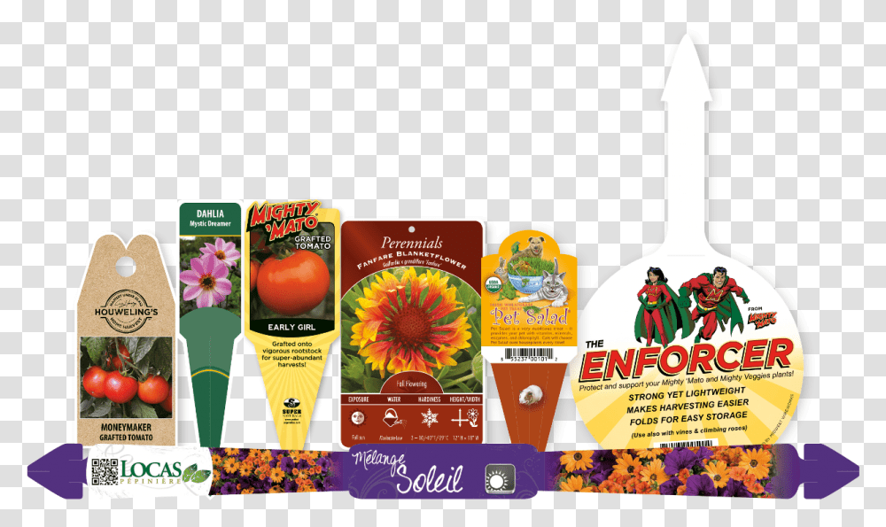 Common Zinnia, Advertisement, Poster, Flyer, Paper Transparent Png