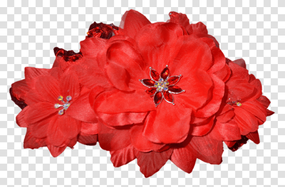 Common Zinnia, Plant, Flower, Blossom, Petal Transparent Png
