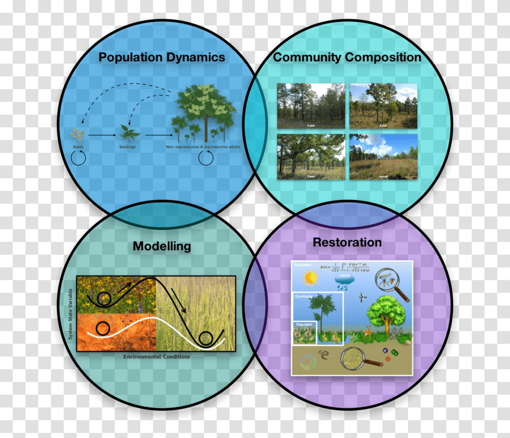 Community Dynamics In Ecology, Diagram, Plot, Sphere, Outdoors Transparent Png