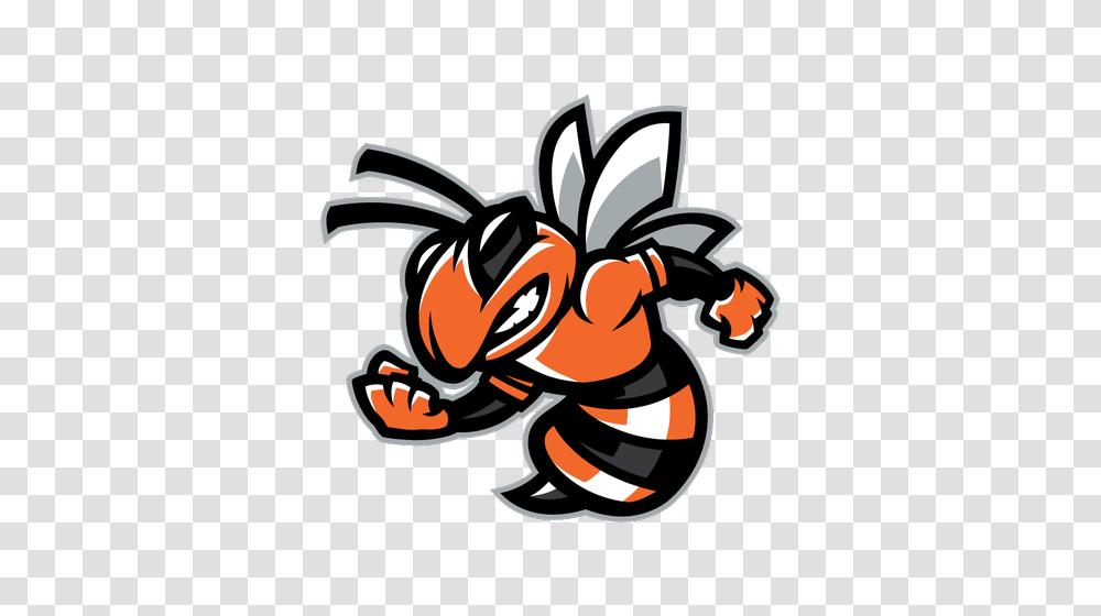 Community Pep Rally, Dynamite, Wasp, Bee, Insect Transparent Png