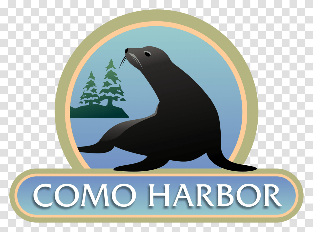 Como Harbor Illustration, Mammal, Animal, Sea Life, Sea Lion Transparent Png