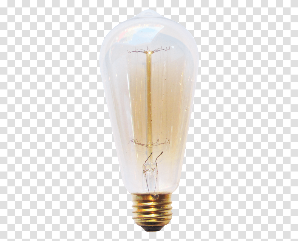 Compact Fluorescent Lamp, Glass, Bottle, Shaker, Jar Transparent Png