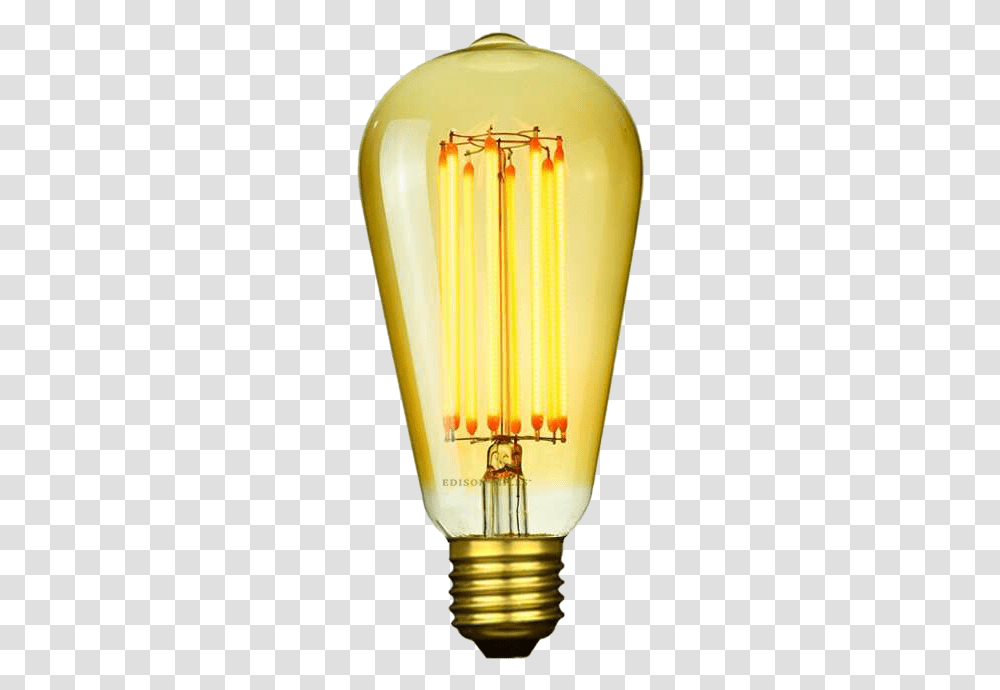 Compact Fluorescent Lamp, Glass, Light, Pollen, Plant Transparent Png