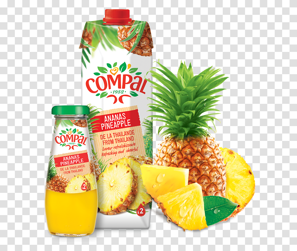 Compal Pineapple Juice Form Thailand Sizes Available Fresh Pineapple, Fruit, Plant, Food, Beer Transparent Png
