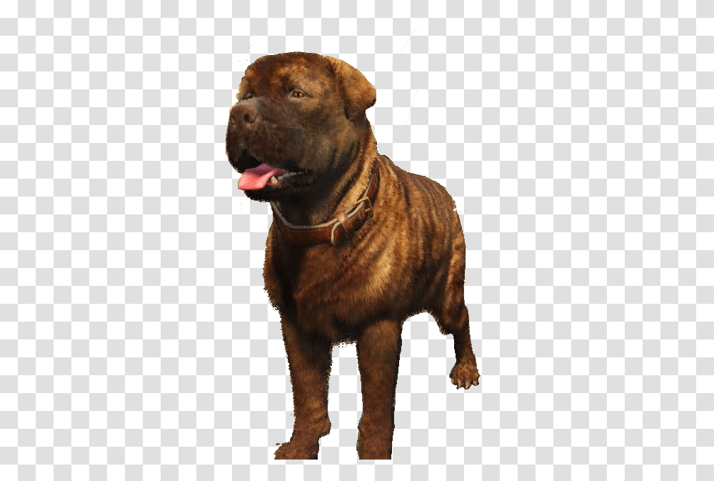 Companion Dog, Animal, Mammal, Pet, Canine Transparent Png