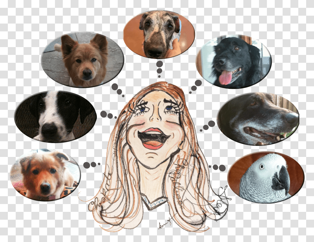 Companion Dog, Animal, Person, Human, Pet Transparent Png