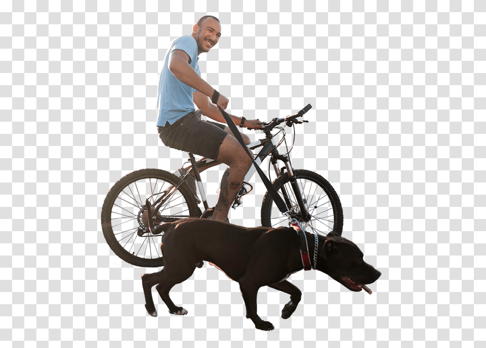 Companion Dog, Bicycle, Vehicle, Transportation, Bike Transparent Png