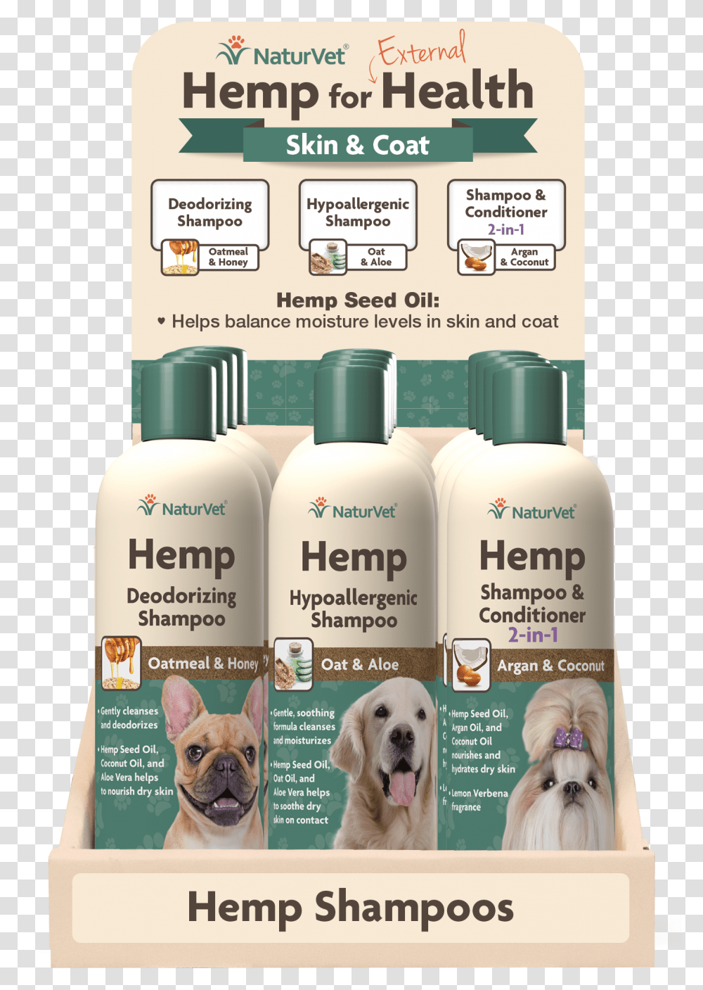 Companion Dog, Bottle, Pet, Canine, Animal Transparent Png