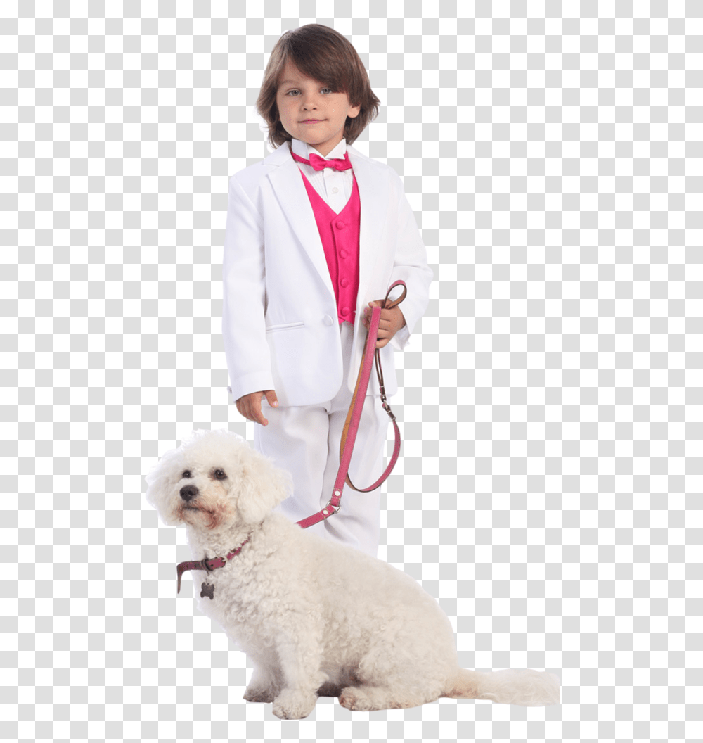 Companion Dog, Doctor, Person, Human Transparent Png