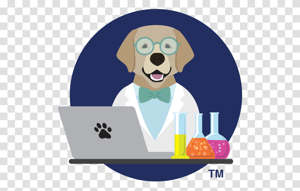 Companion Dog, Doctor, Waiter, Scientist, Nurse Transparent Png