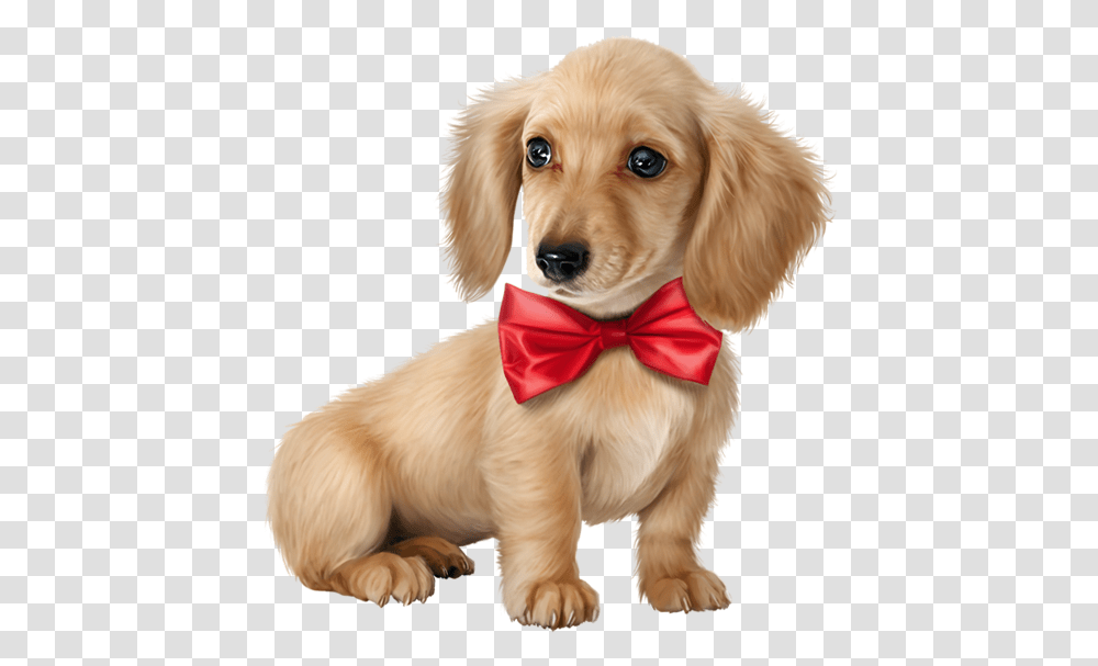 Companion Dog Ear Puppy Love Clipart Cocker Spaniel, Pet, Canine, Animal, Mammal Transparent Png
