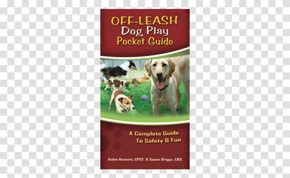 Companion Dog, Flyer, Poster, Paper, Advertisement Transparent Png