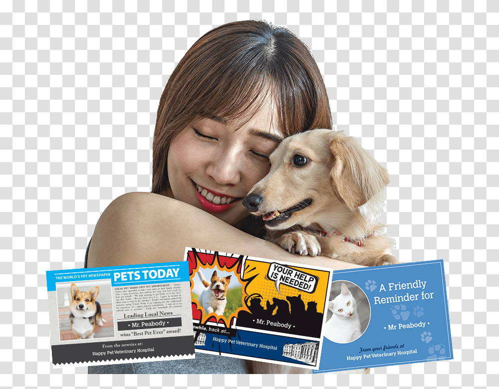 Companion Dog, Golden Retriever, Pet, Canine, Animal Transparent Png