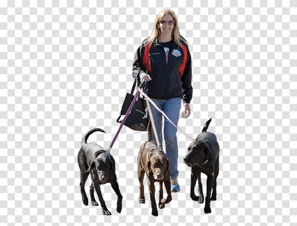Companion Dog, Person, Animal, Mammal, Canine Transparent Png