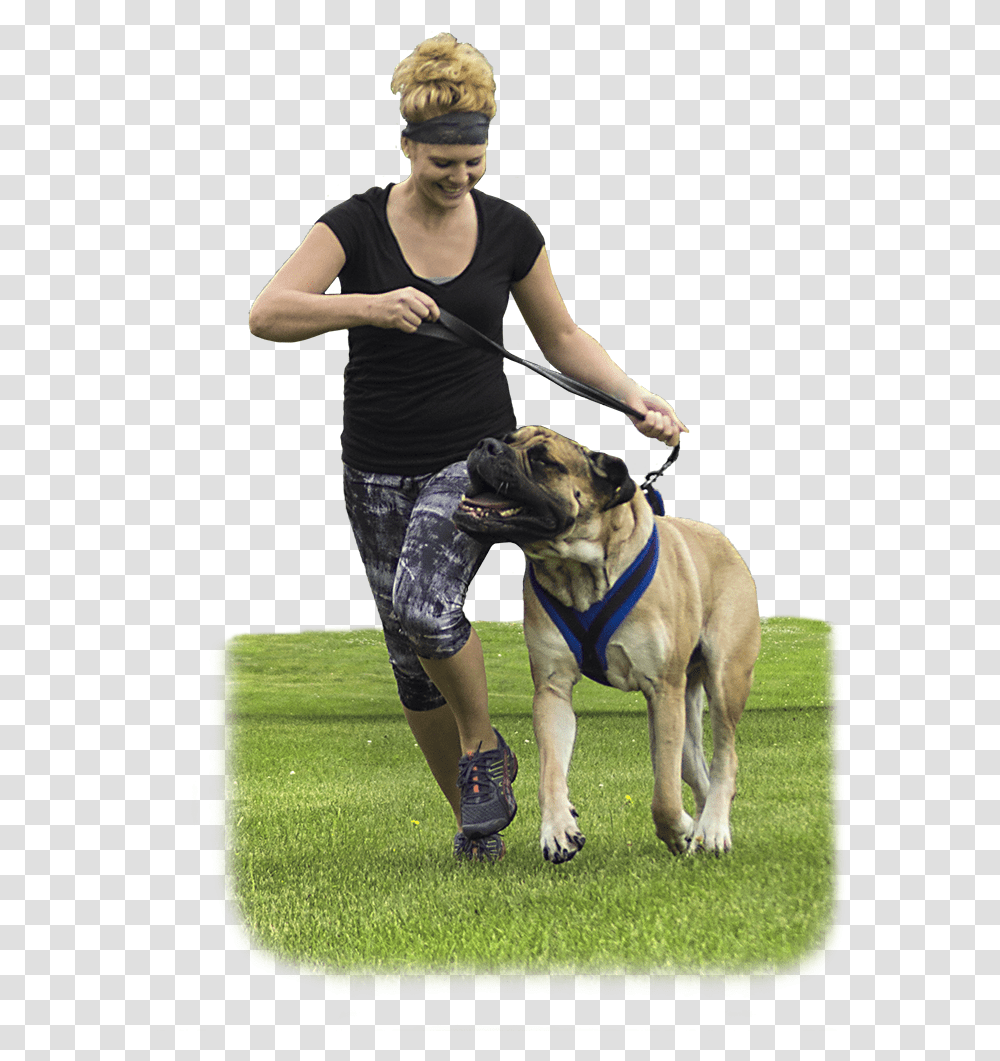 Companion Dog, Person, Grass, Plant, Canine Transparent Png