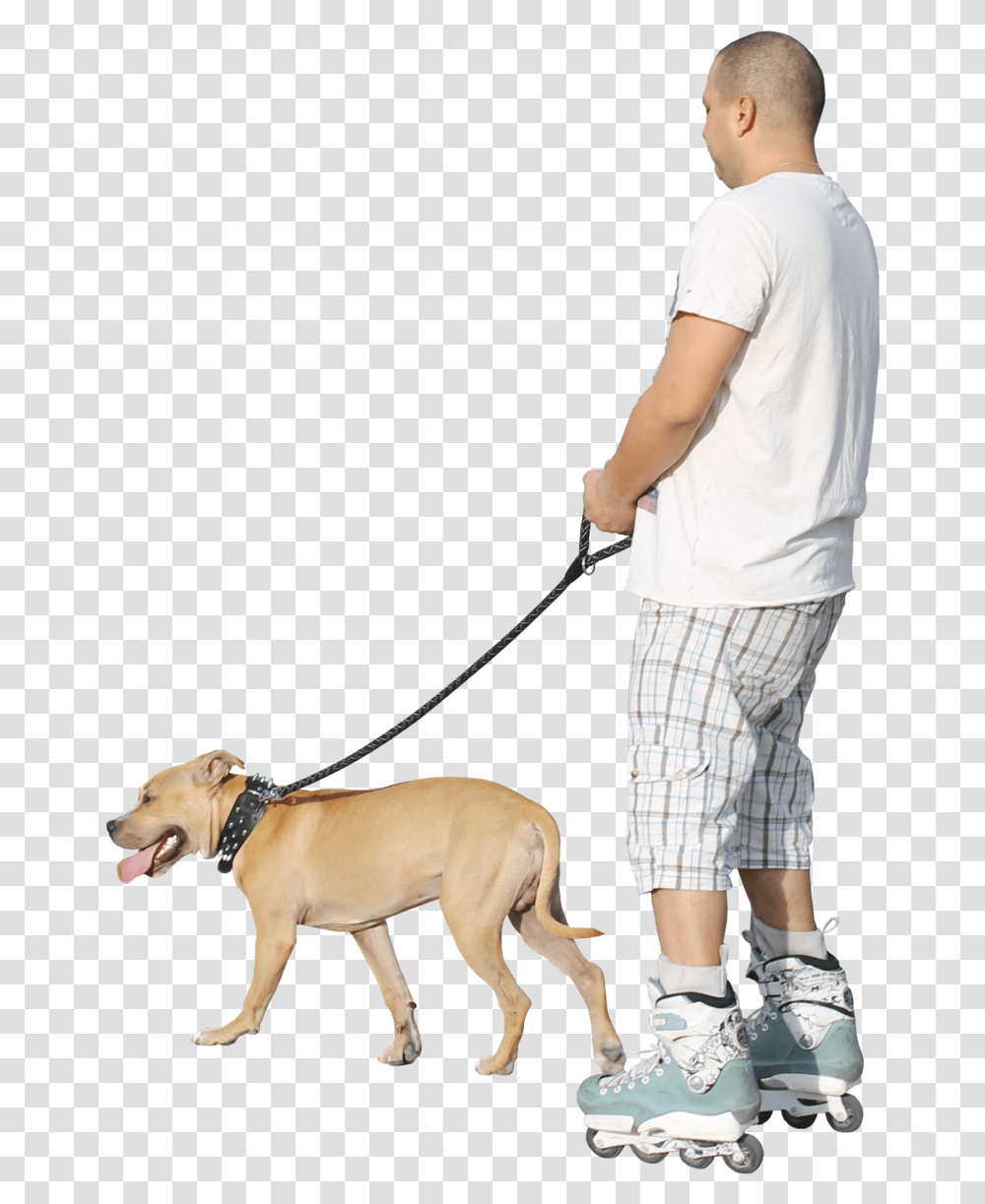 Companion Dog, Person, Human, Strap Transparent Png