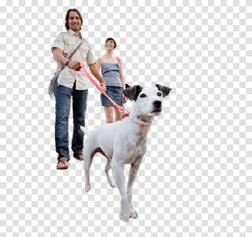 Companion Dog, Person, Human, Strap, Pet Transparent Png
