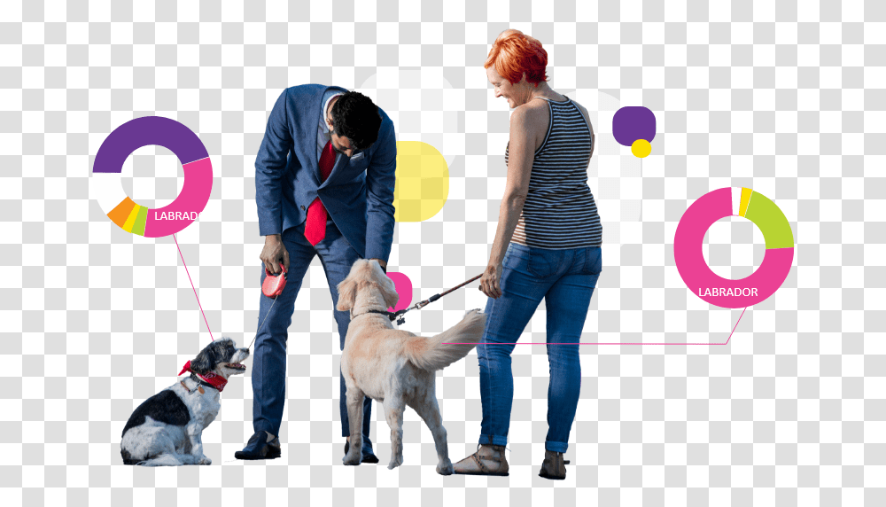 Companion Dog, Person, Pet, Canine, Animal Transparent Png