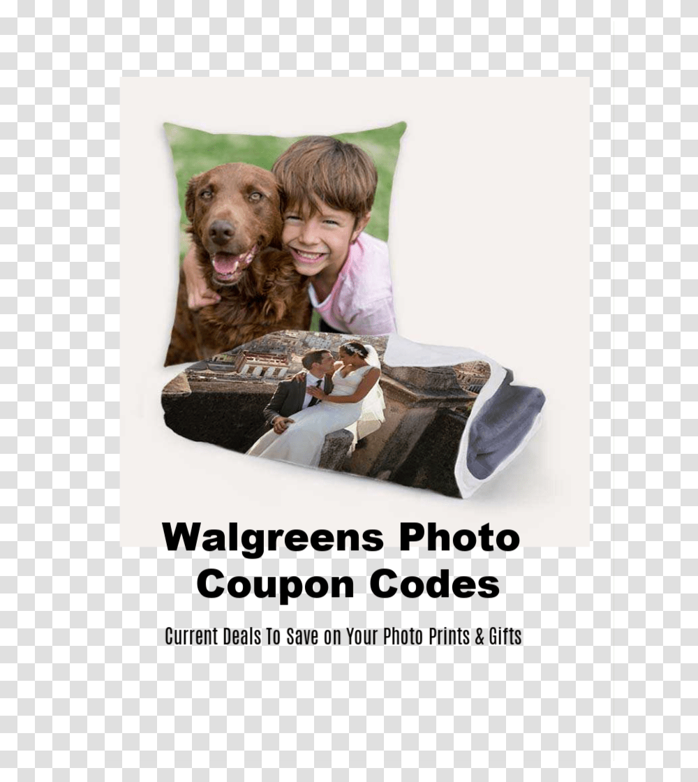 Companion Dog, Pillow, Cushion, Person, Pet Transparent Png