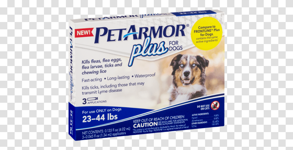 Companion Dog, Poster, Advertisement, Pet, Flyer Transparent Png