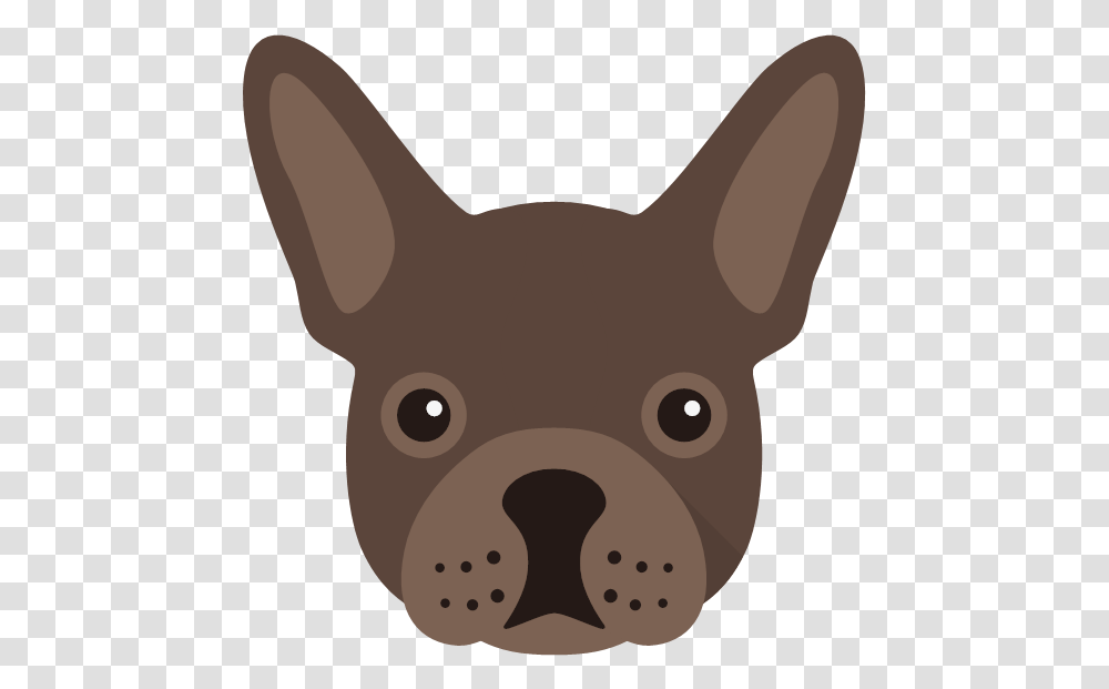 Companion Dog, Snout, Mammal, Animal, Pet Transparent Png