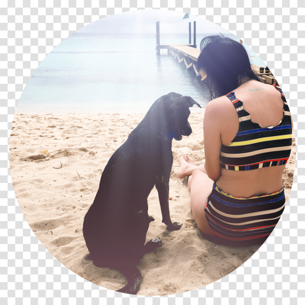 Companion Dog, Water, Person, Swimwear Transparent Png