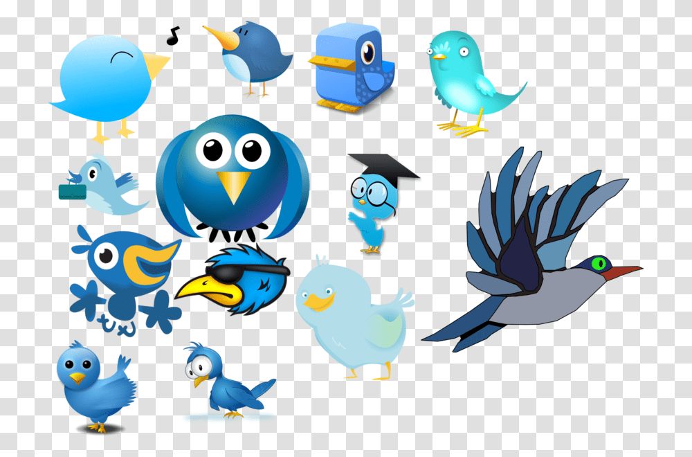 Compare And Contrast Essay Of Birds And Bats, Animal, Penguin Transparent Png