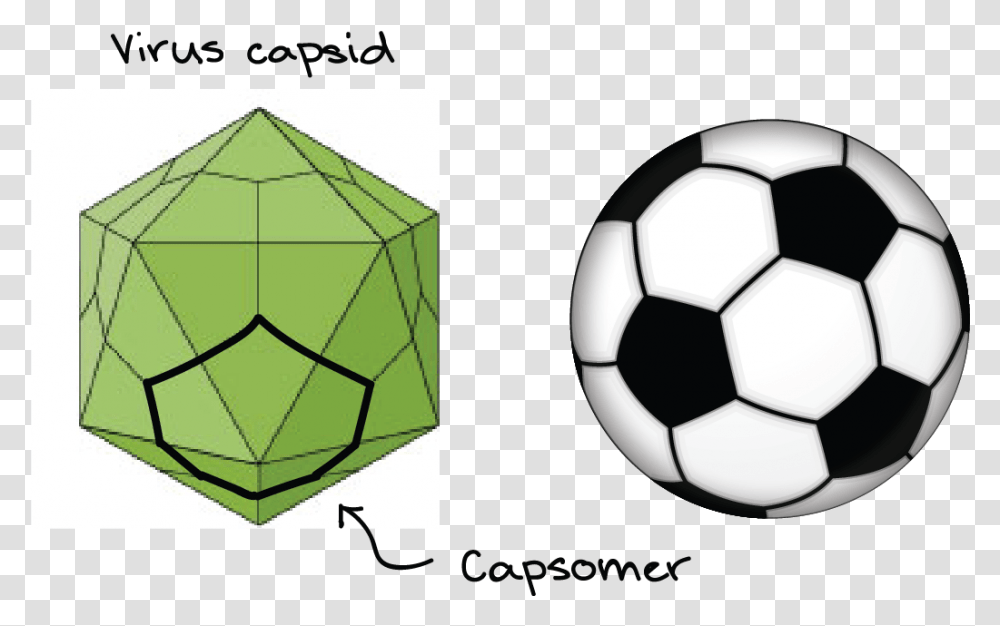 Comparison Of A Soccer Ball With A Virus Capsid Soccer Ball Sticker, Football, Team Sport, Sports, Sphere Transparent Png