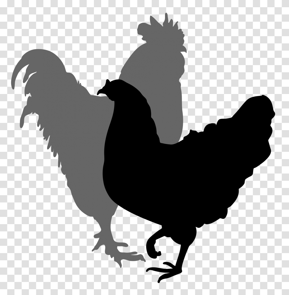 Compass Clipart Rooster, Animal, Gecko, Lizard, Reptile Transparent Png