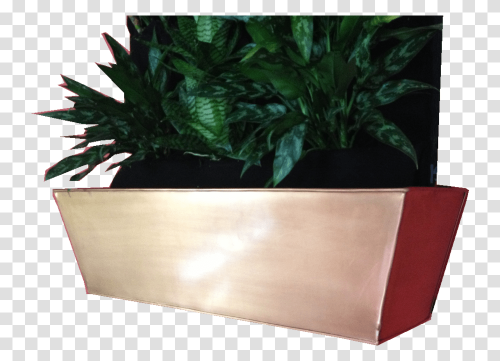 Complete Vertical Gardening Kits Flowerpot, Potted Plant, Vase, Jar, Pottery Transparent Png