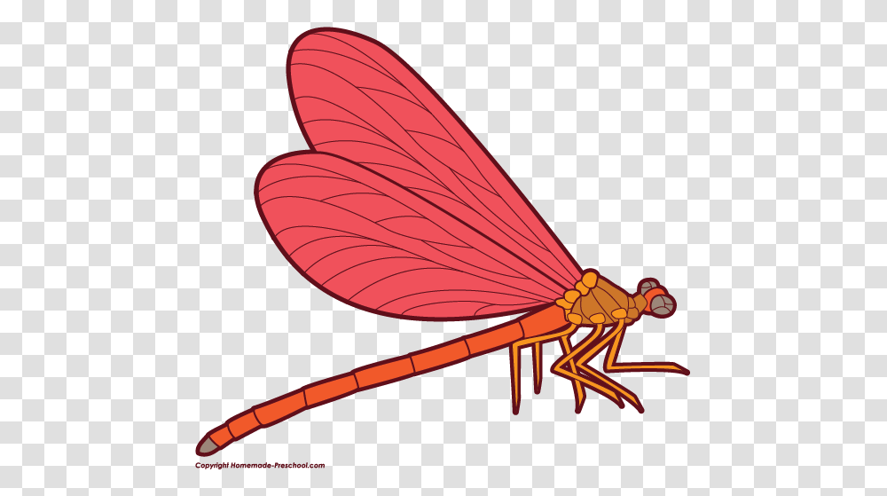 Completely Free Clip Art, Dragonfly, Insect, Invertebrate, Animal Transparent Png