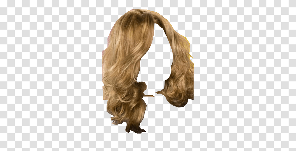 Complex Color Transfer, Hair, Person, Human, Wig Transparent Png