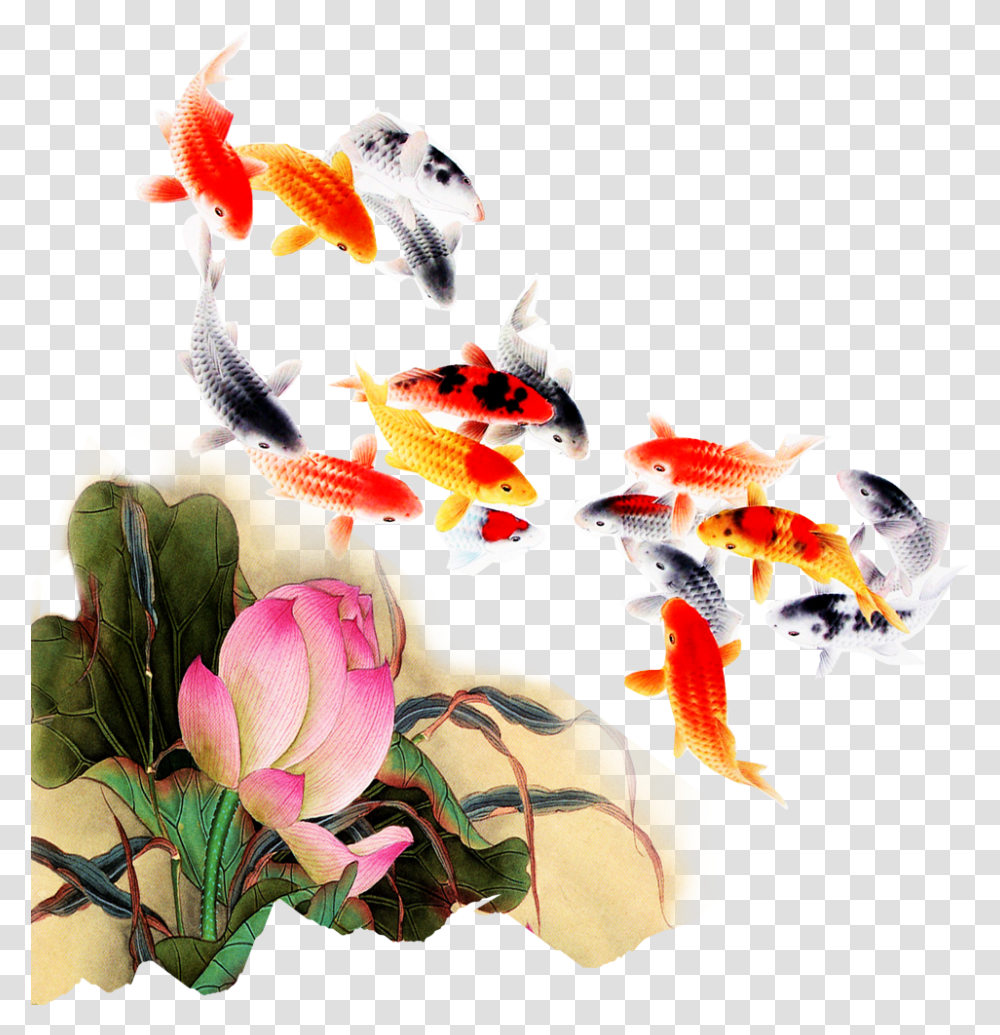 Computer File Kam Transprent Petal Organism Background Koi Fish, Animal, Goldfish Transparent Png