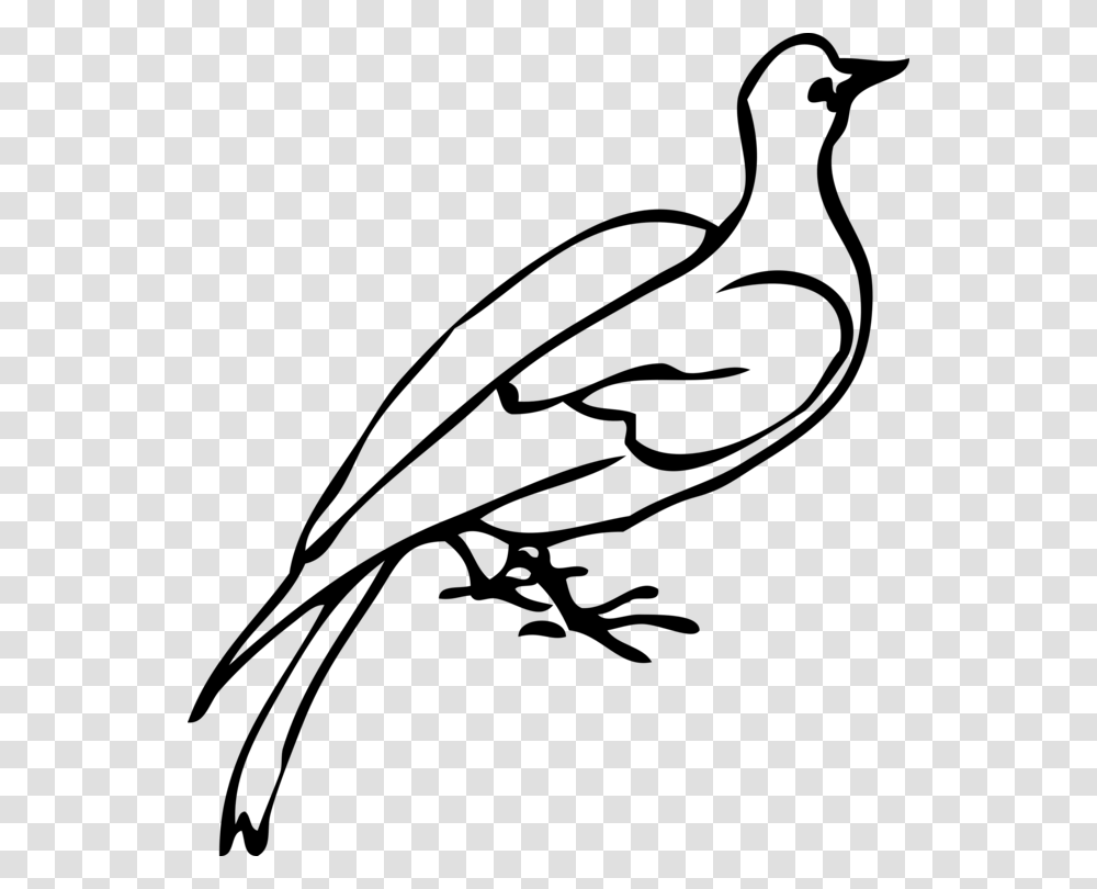 Computer Icons Columbidae Doves As Symbols Drawing Download Free, Gray, World Of Warcraft Transparent Png