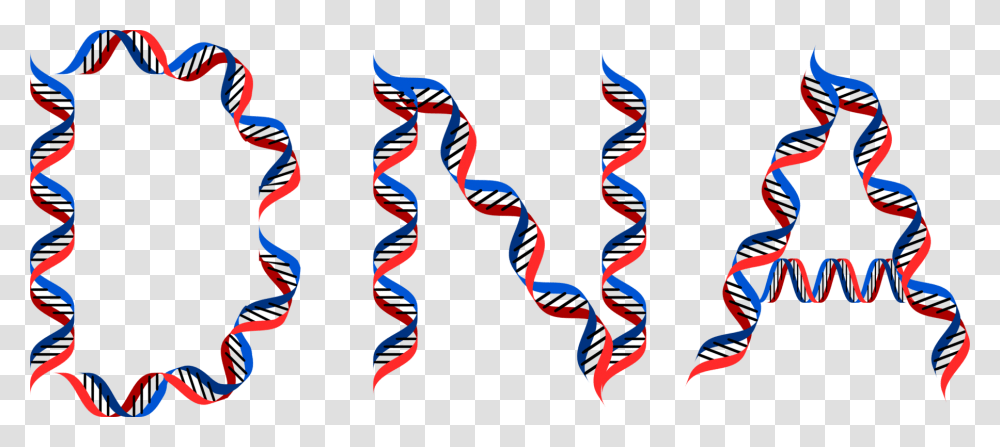 Computer Icons Dna Origami Typography Organ, Person, Human Transparent Png