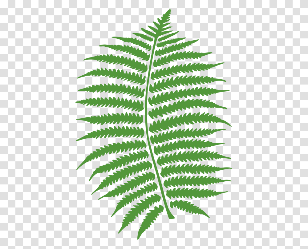 Computer Icons Fern Frond Art, Plant, Green Transparent Png