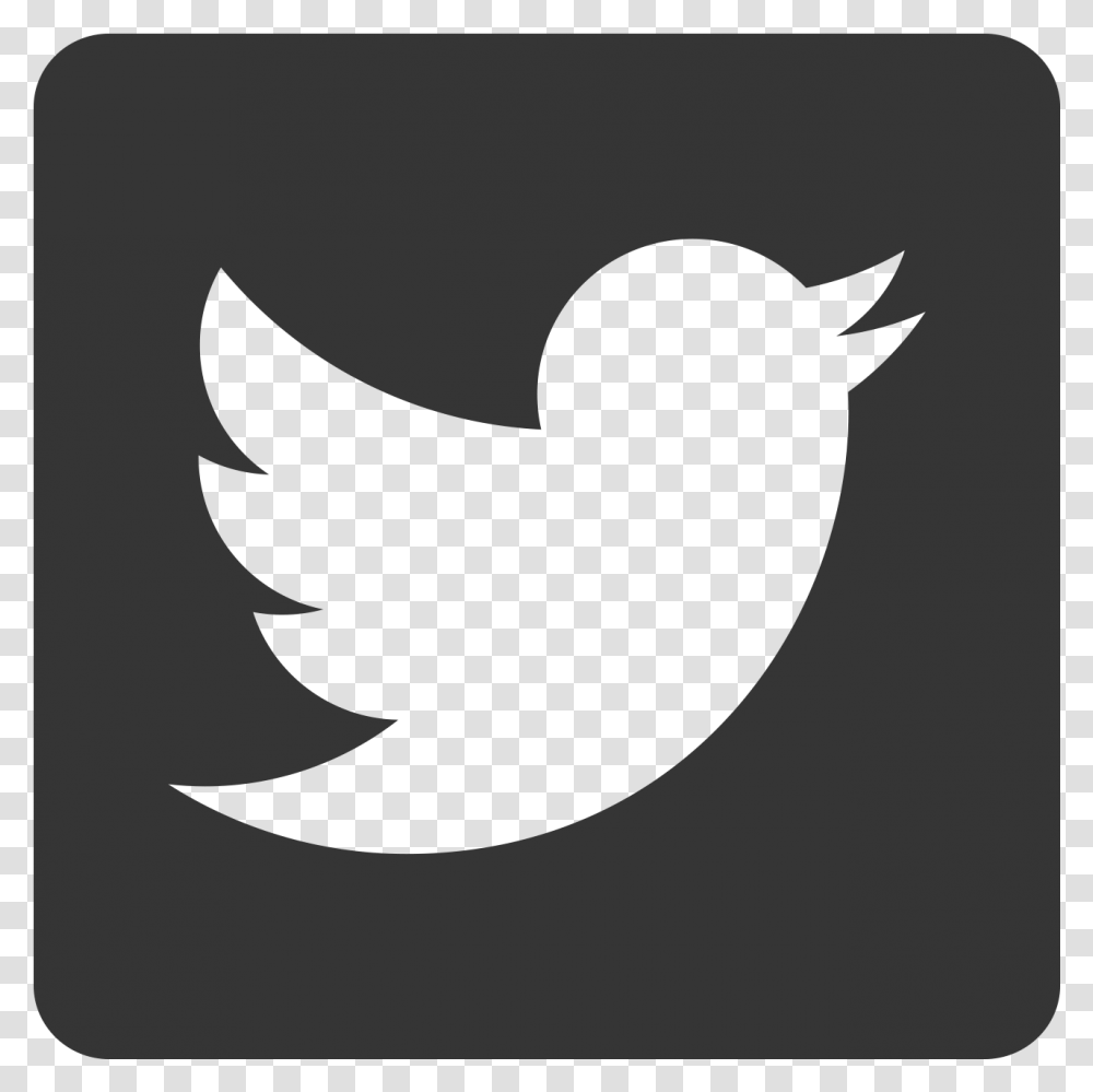 Computer Icons Logo Metropolitan Mechanical Contractors Twitter Icon Rounded Square, Bird, Animal, Silhouette Transparent Png