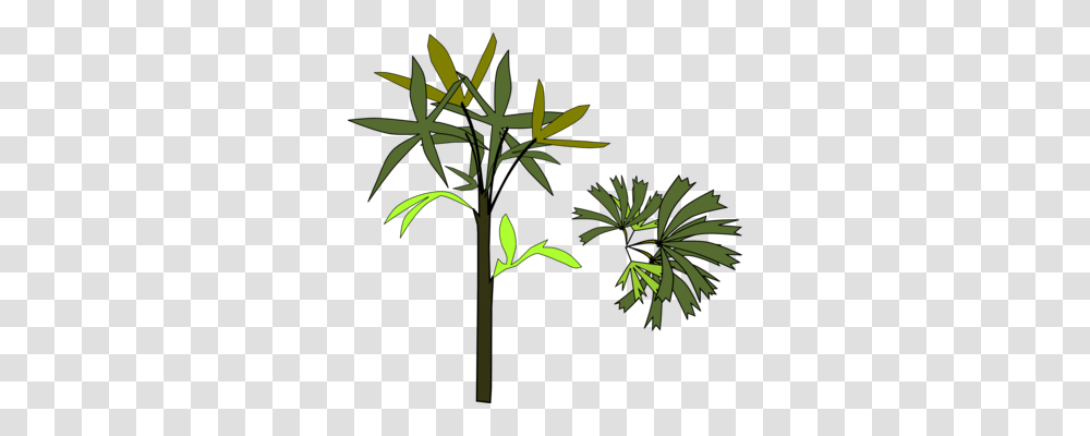 Computer Icons Palm Trees Rhapis Excelsa Download, Plant, Leaf, Flower, Acanthaceae Transparent Png