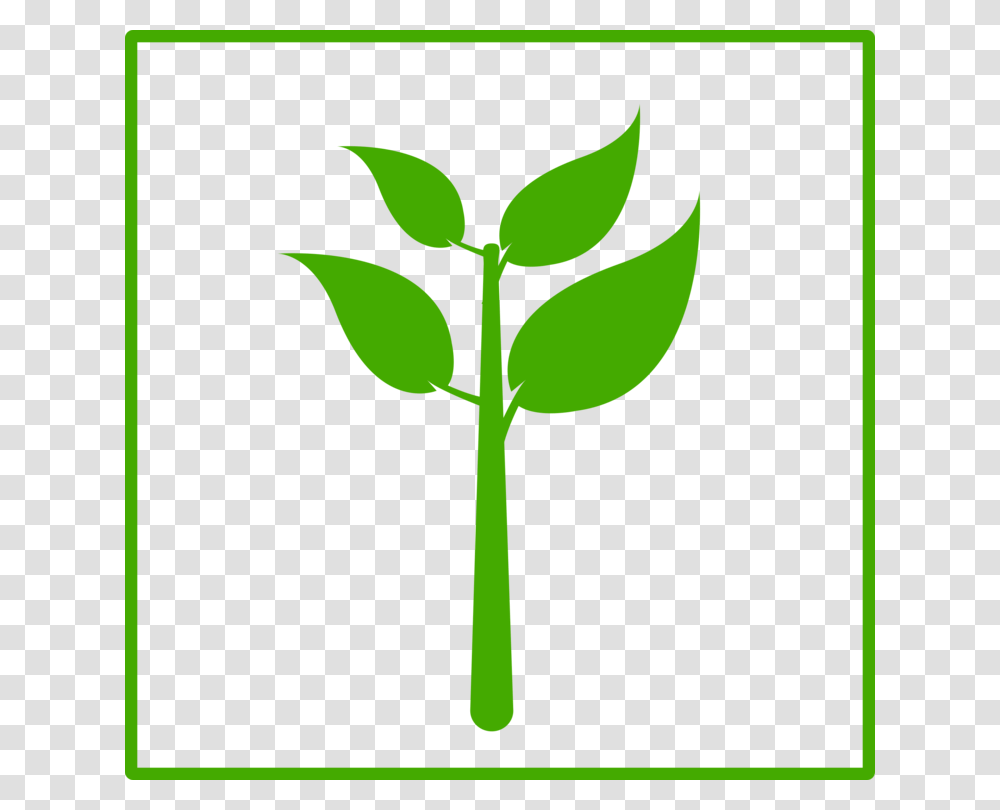 Computer Icons Plant Stem Green Leaf, Vegetable, Food, Seed Transparent Png