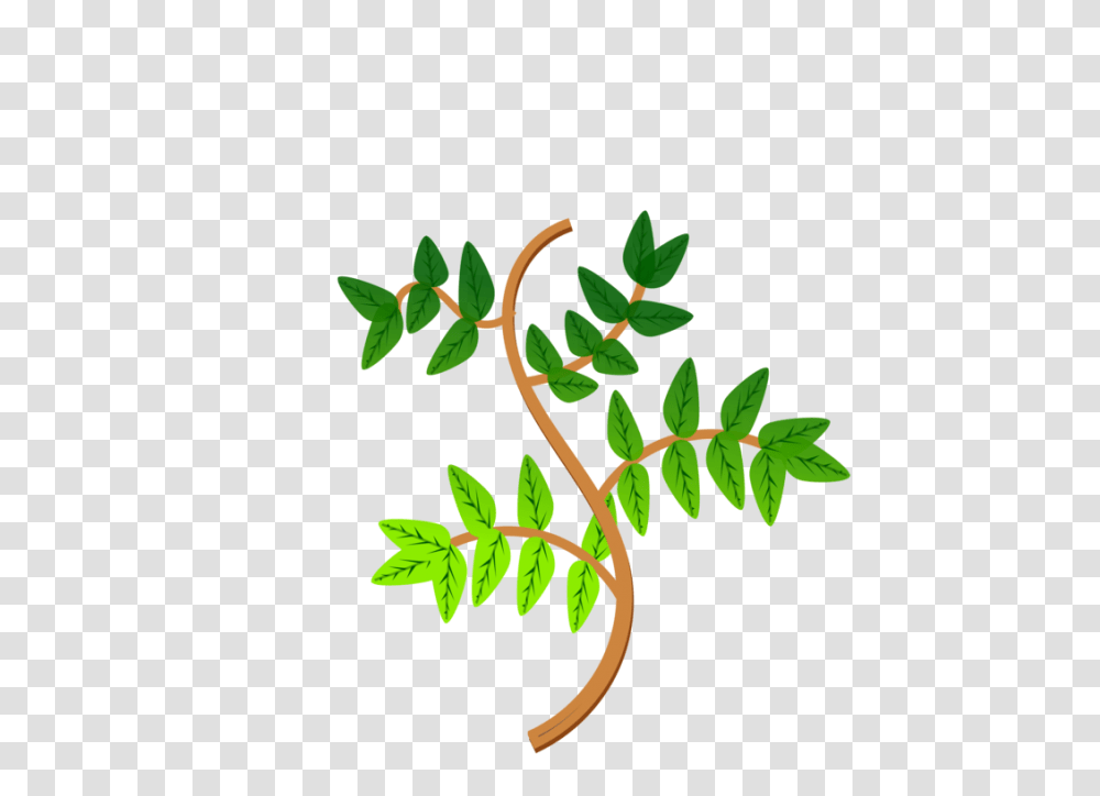 Computer Icons Windows Metafile Medicinal Plants Pdf Free, Leaf, Tree, Annonaceae, Vine Transparent Png