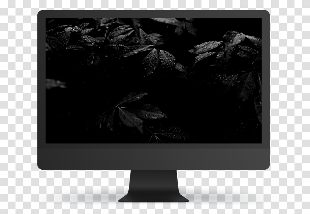 Computer Monitor, Screen, Electronics, Leaf, Plant Transparent Png