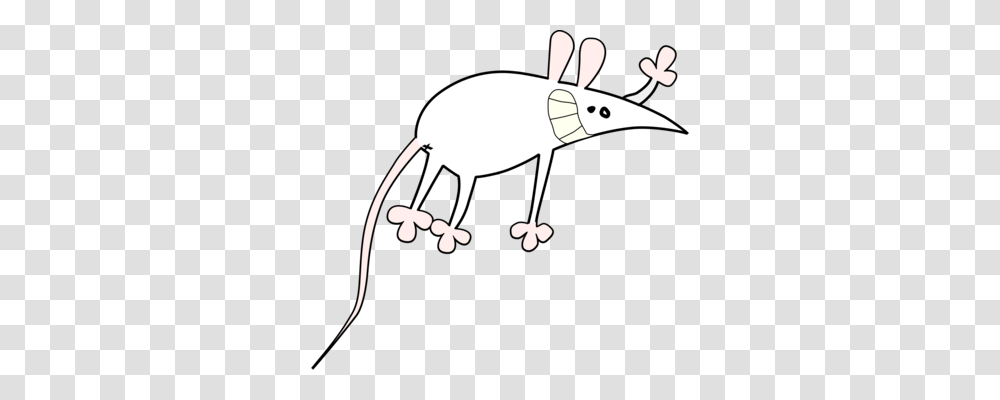 Computer Mouse Download Cartoon, Anteater, Wildlife, Mammal, Animal Transparent Png