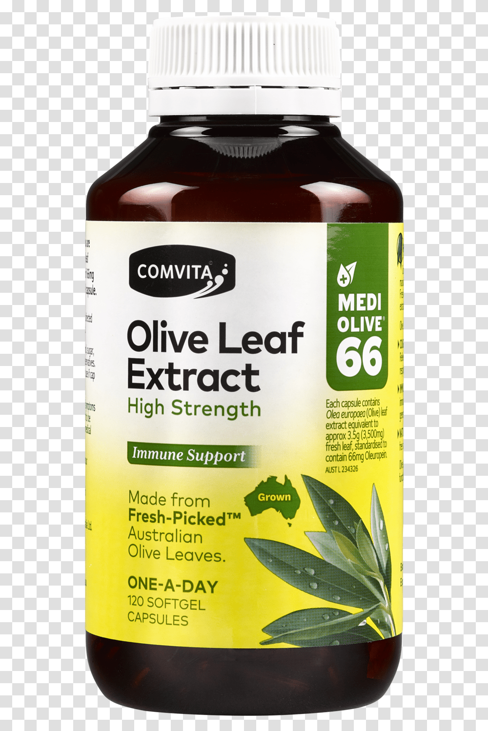 Comvita Olive Leaf Extract Capsule, Vase, Jar, Pottery, Plant Transparent Png