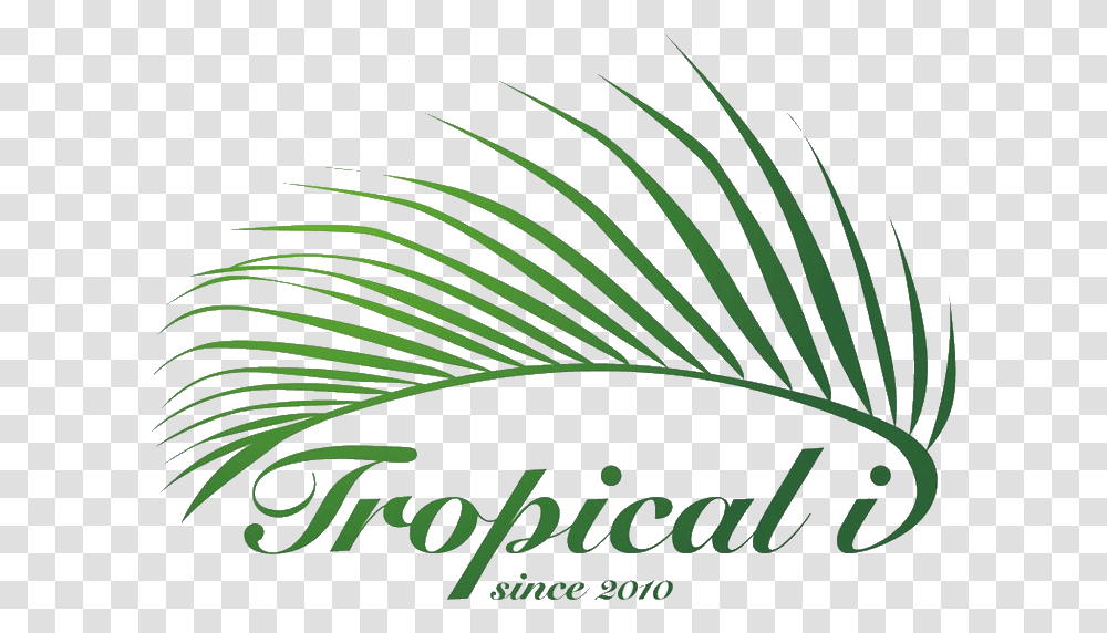 Comwp Tropical I Sdn Bhd, Logo, Plant Transparent Png